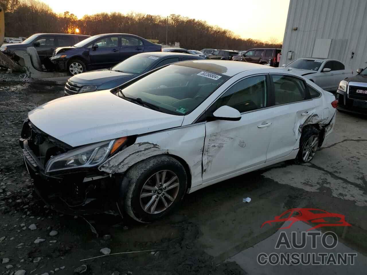 HYUNDAI SONATA 2016 - 5NPE24AF2GH277613