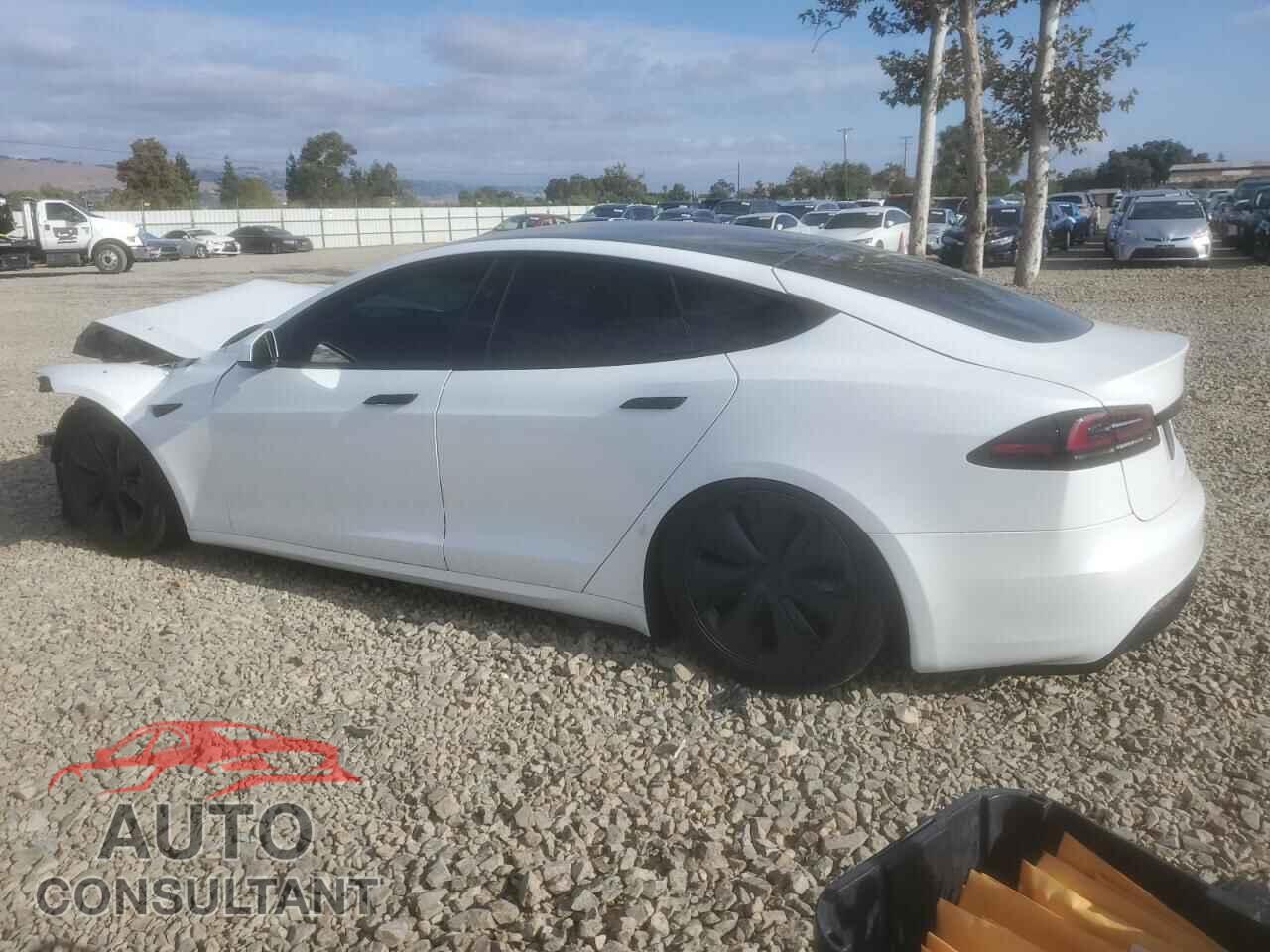 TESLA MODEL S 2023 - 5YJSA1E54PF519015