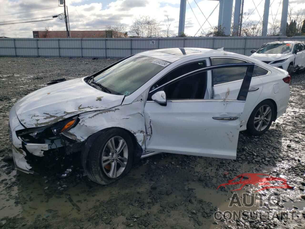 HYUNDAI SONATA 2019 - 5NPE34AF7KH773187