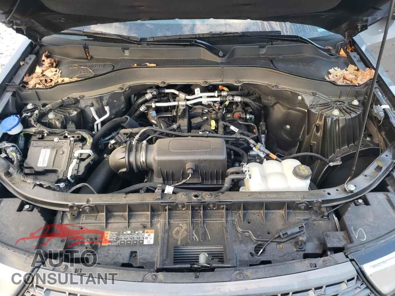 FORD EXPLORER 2023 - 1FMSK8DH7PGC06561
