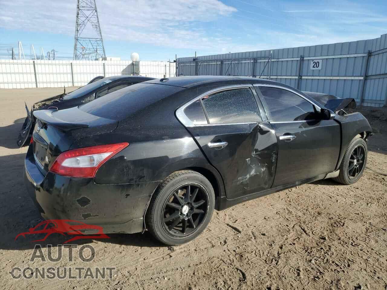 NISSAN MAXIMA 2011 - 1N4AA5AP1BC852925