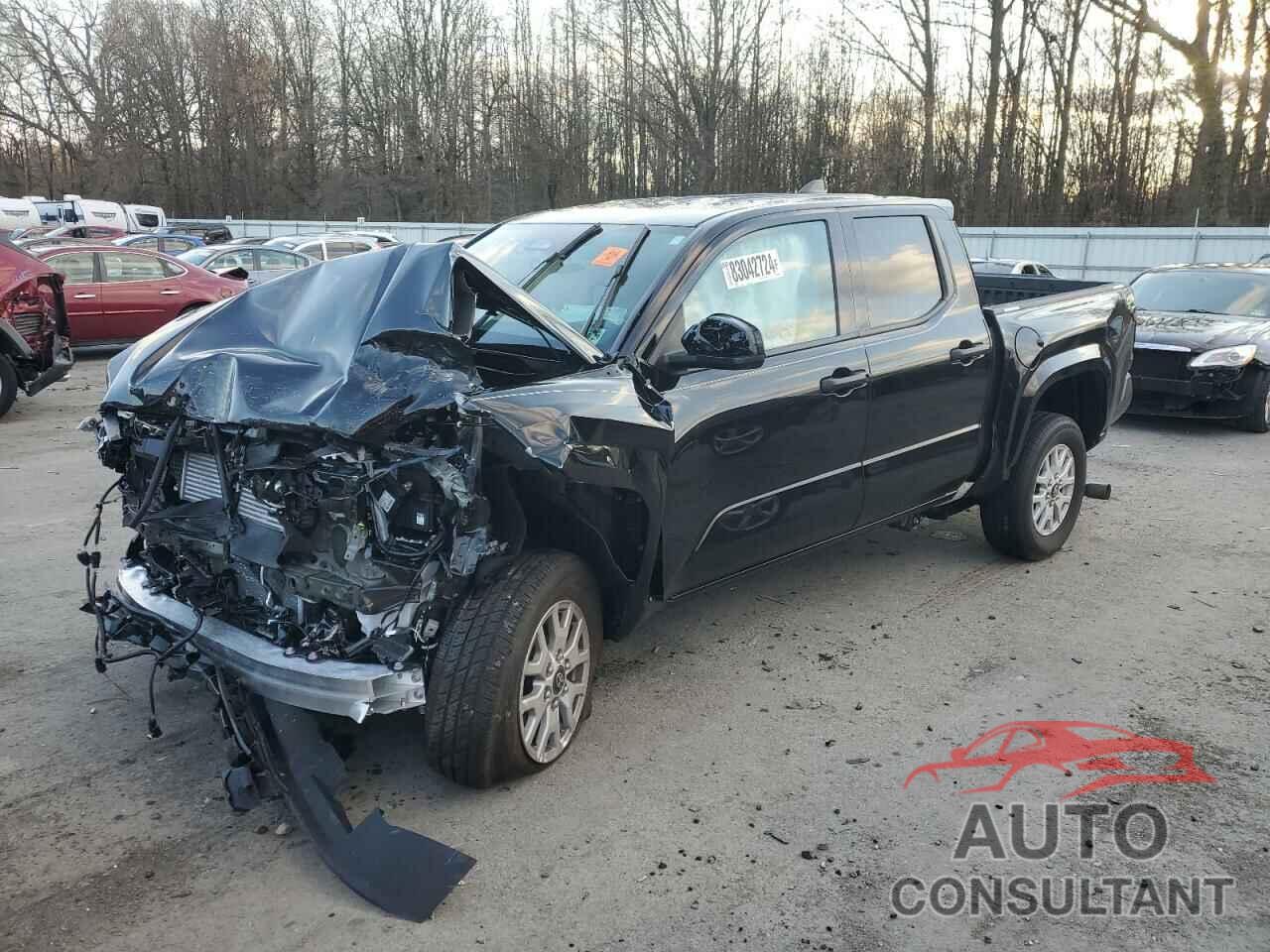 TOYOTA TACOMA 2024 - 3TYKD5HN0RT008804