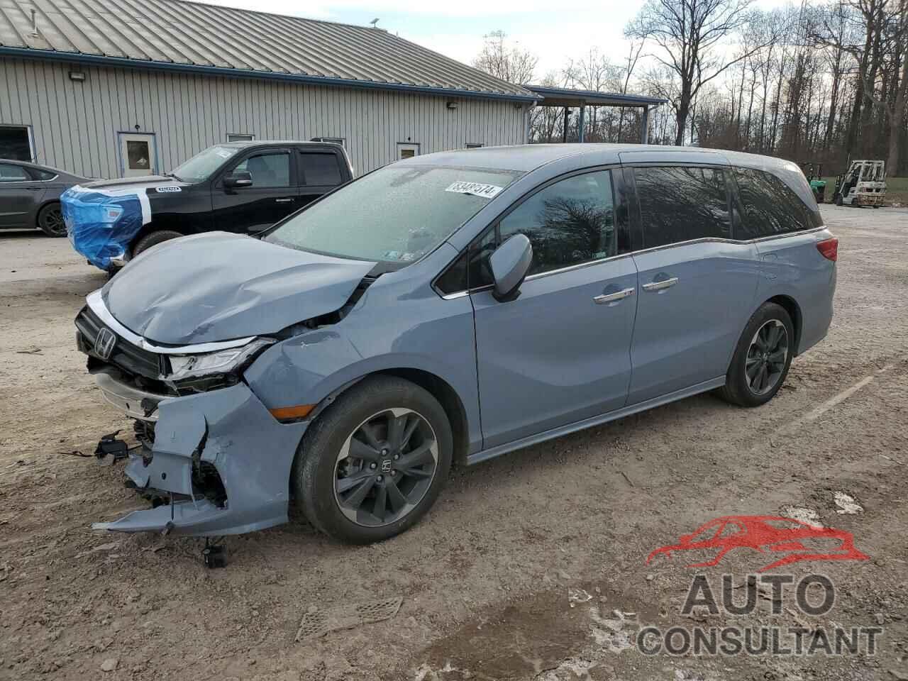 HONDA ODYSSEY 2024 - 5FNRL6H96RB001124
