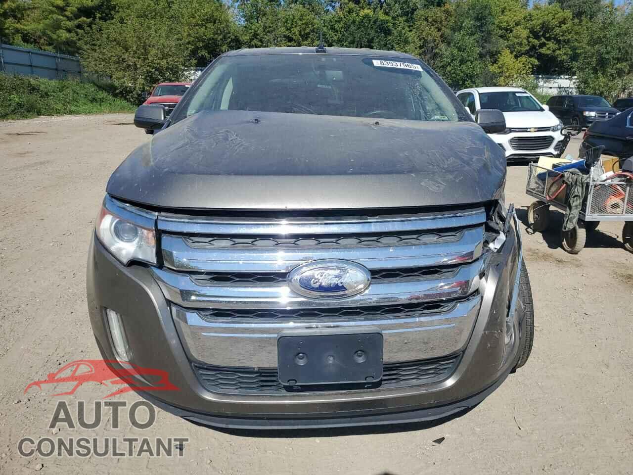 FORD EDGE 2014 - 2FMDK4JCXEBA55181