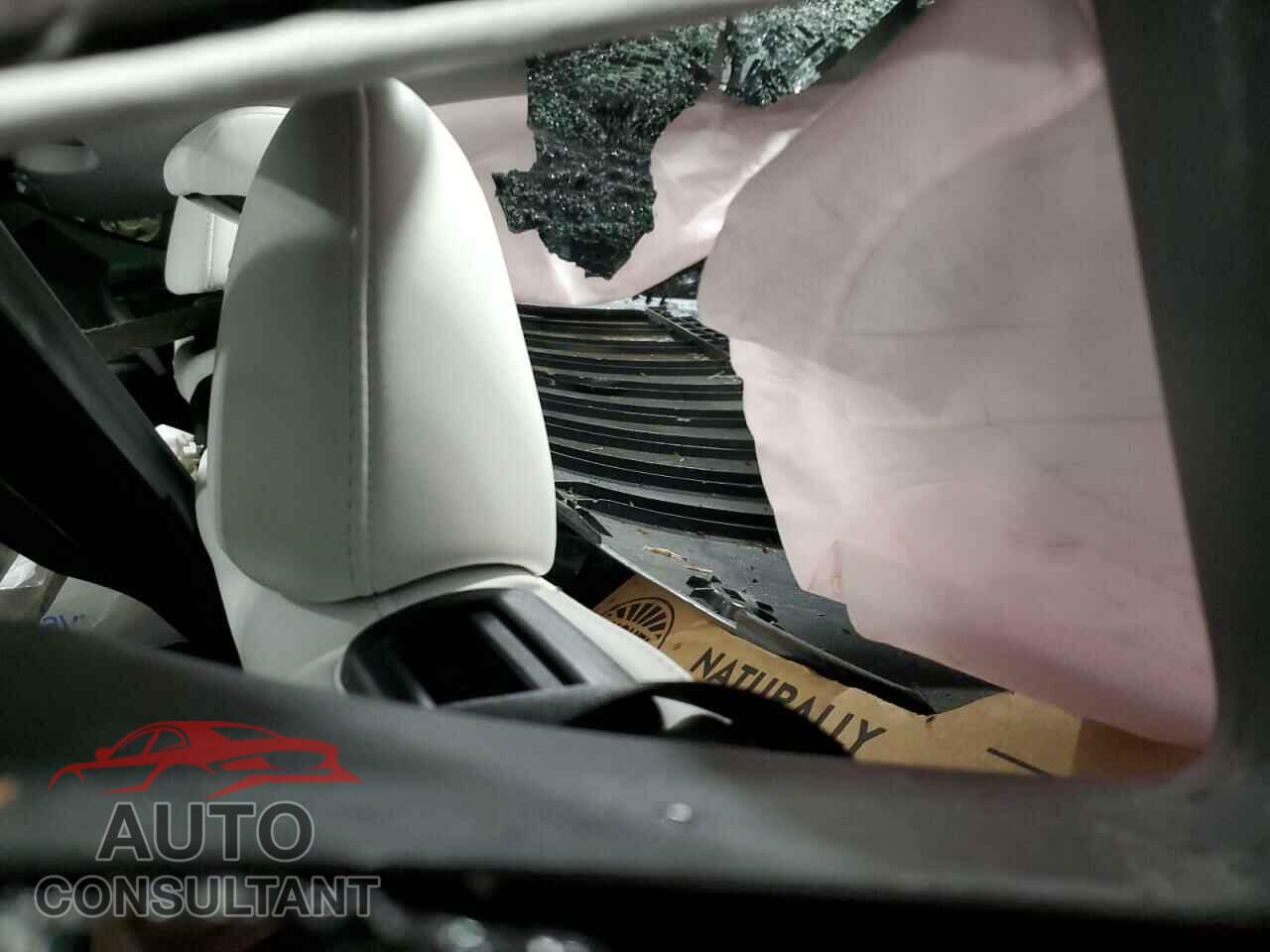 TESLA MODEL Y 2023 - 7SAYGDEE8PF874475