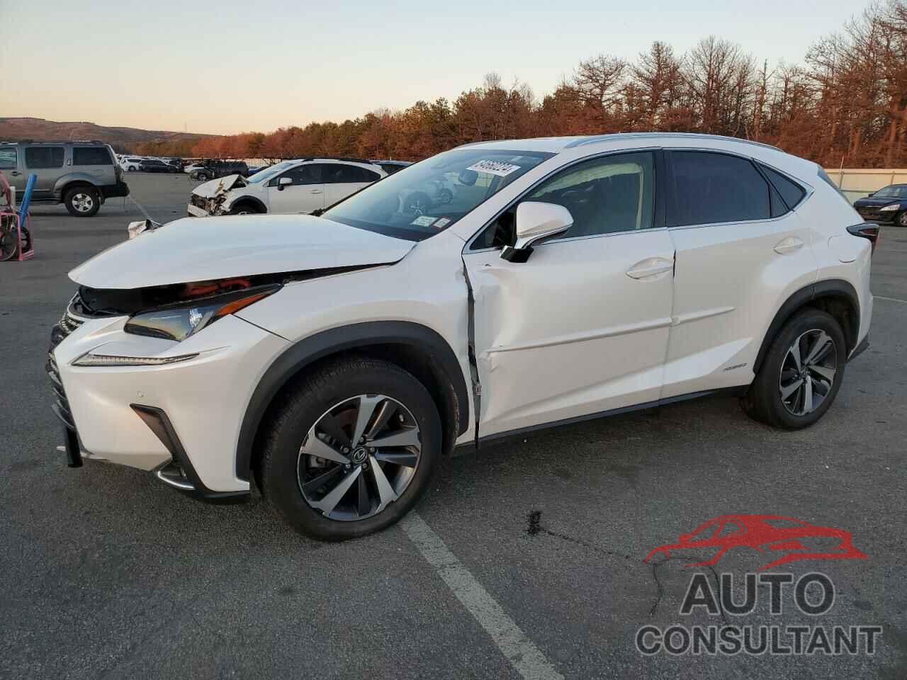 LEXUS NX 2021 - JTJGJRDZ3M2155318