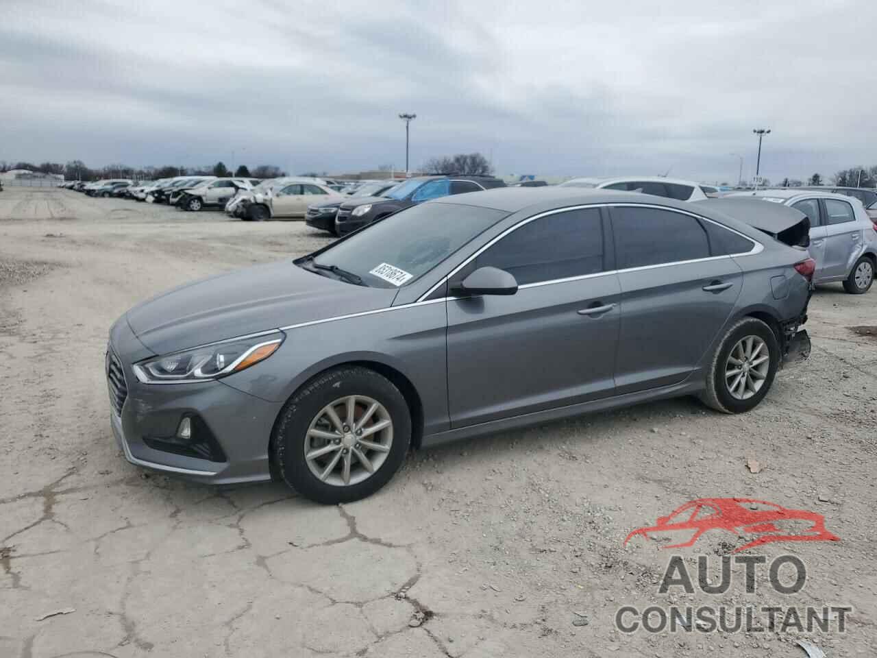 HYUNDAI SONATA 2019 - 5NPE24AF9KH793038