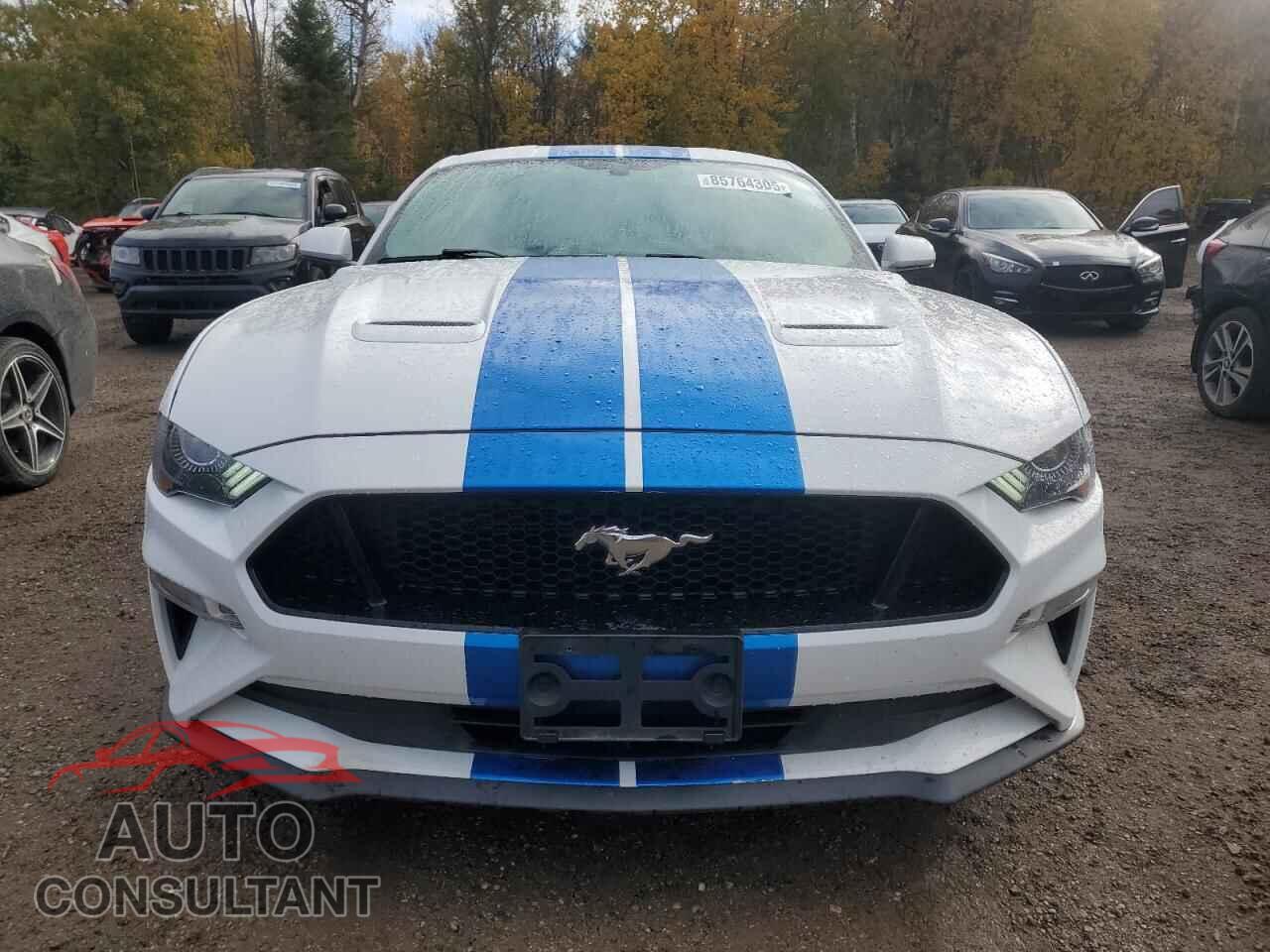 FORD MUSTANG 2019 - 1FA6P8CF2K5162907