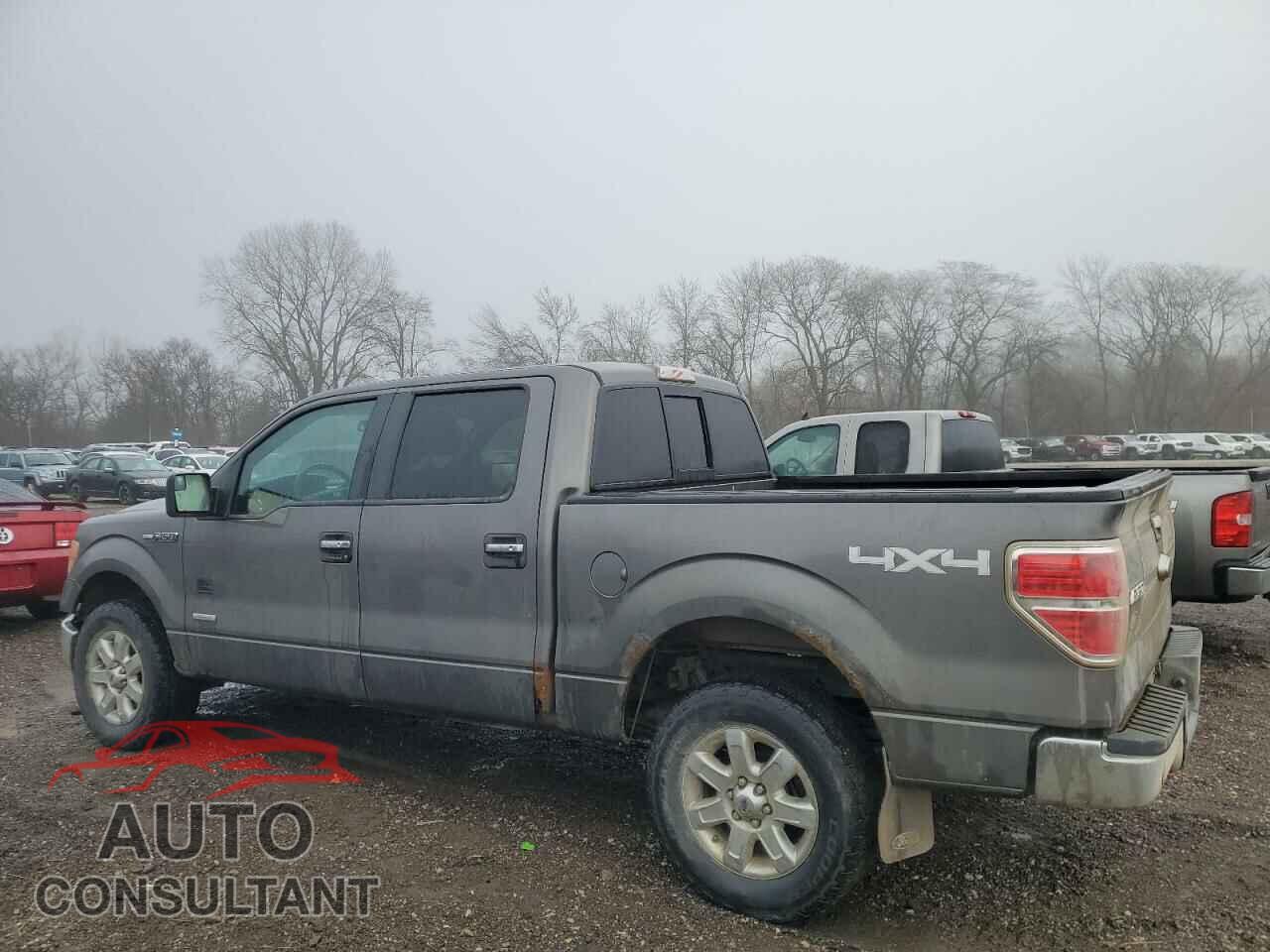 FORD F-150 2013 - 1FTFW1ET7DKG43232