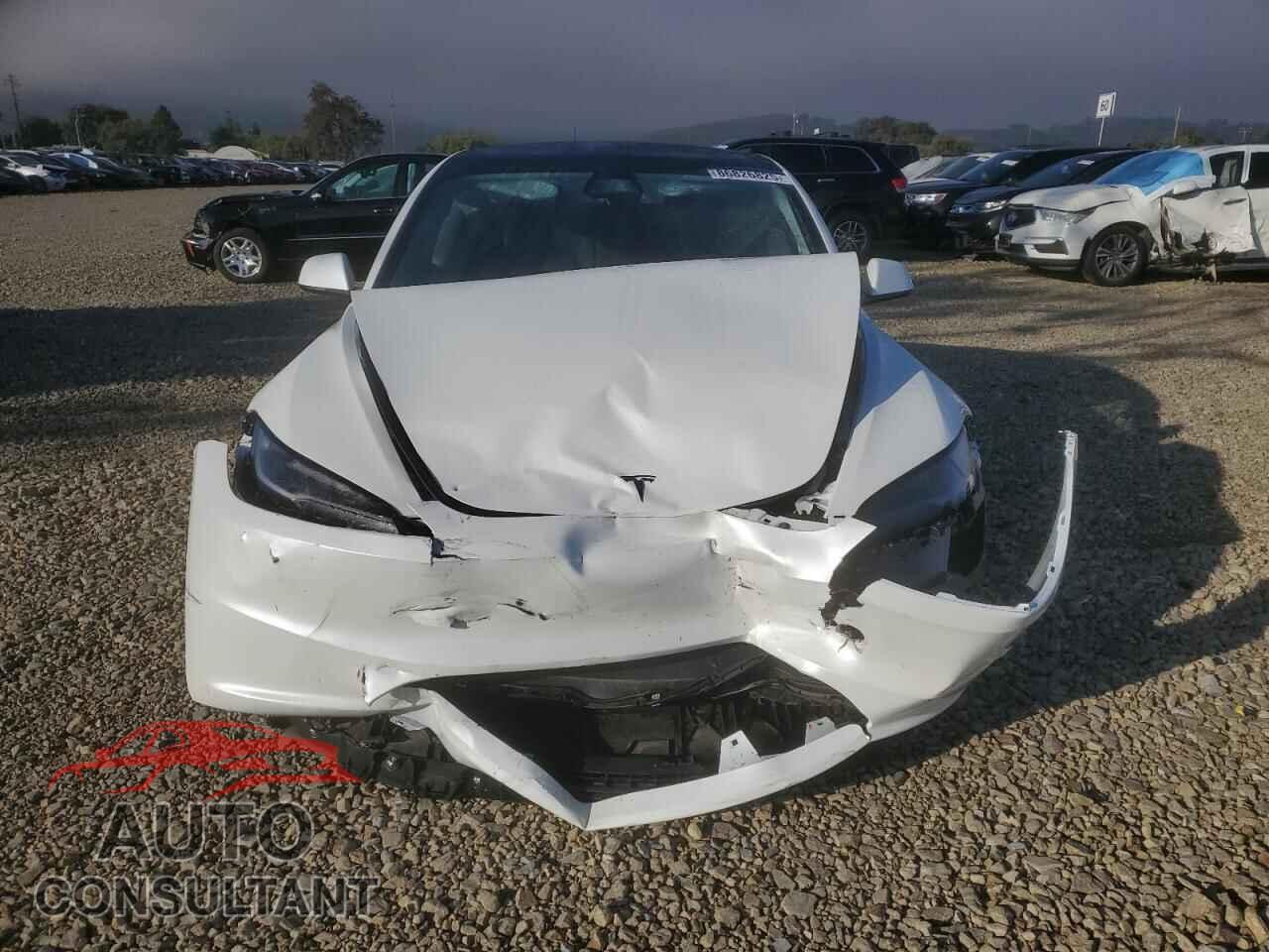TESLA MODEL 3 2024 - 5YJ3E1EB0RF819121