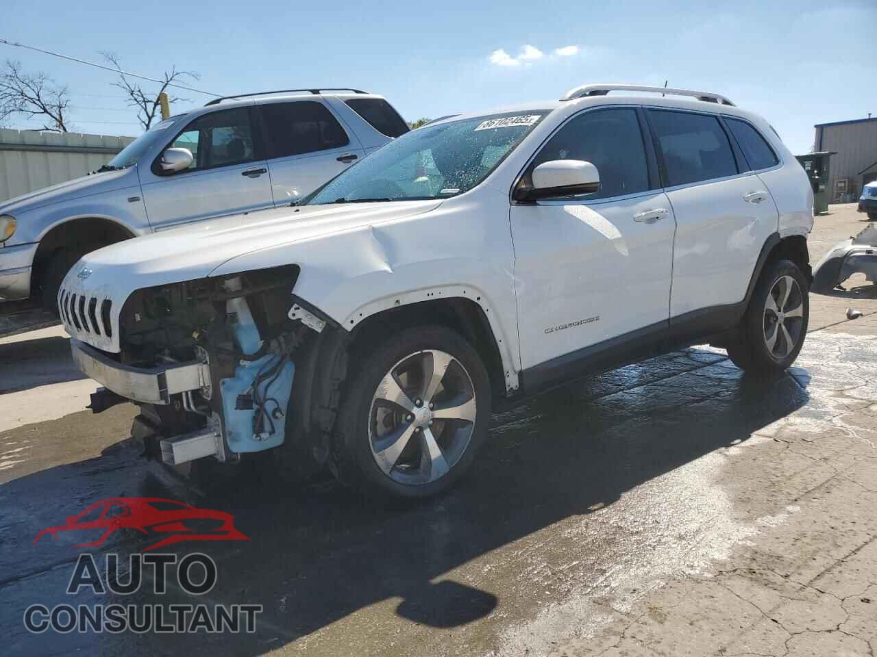 JEEP GRAND CHER 2019 - 1C4PJLDBXKD302495