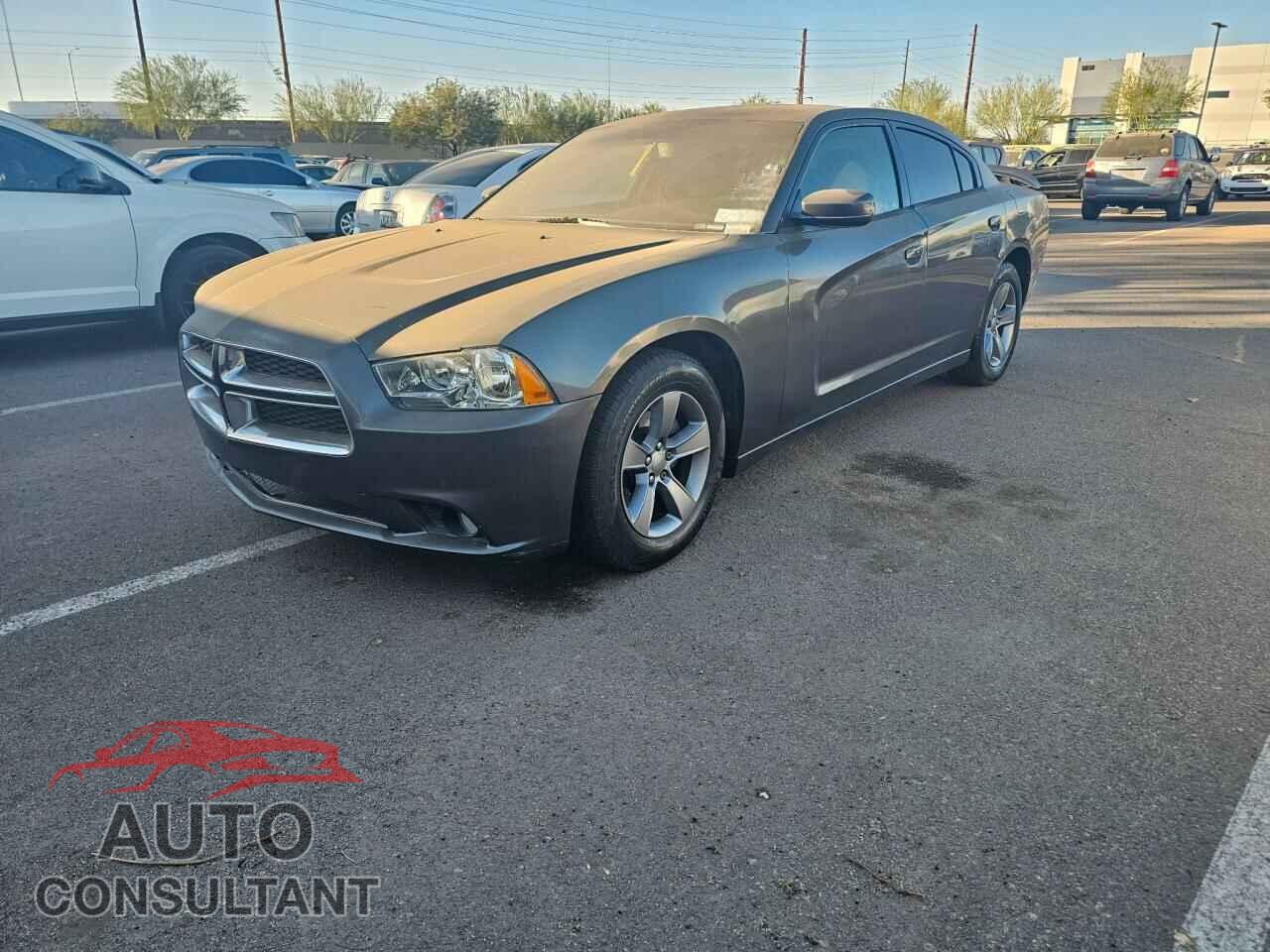 DODGE CHARGER 2014 - 2C3CDXHG1EH155305