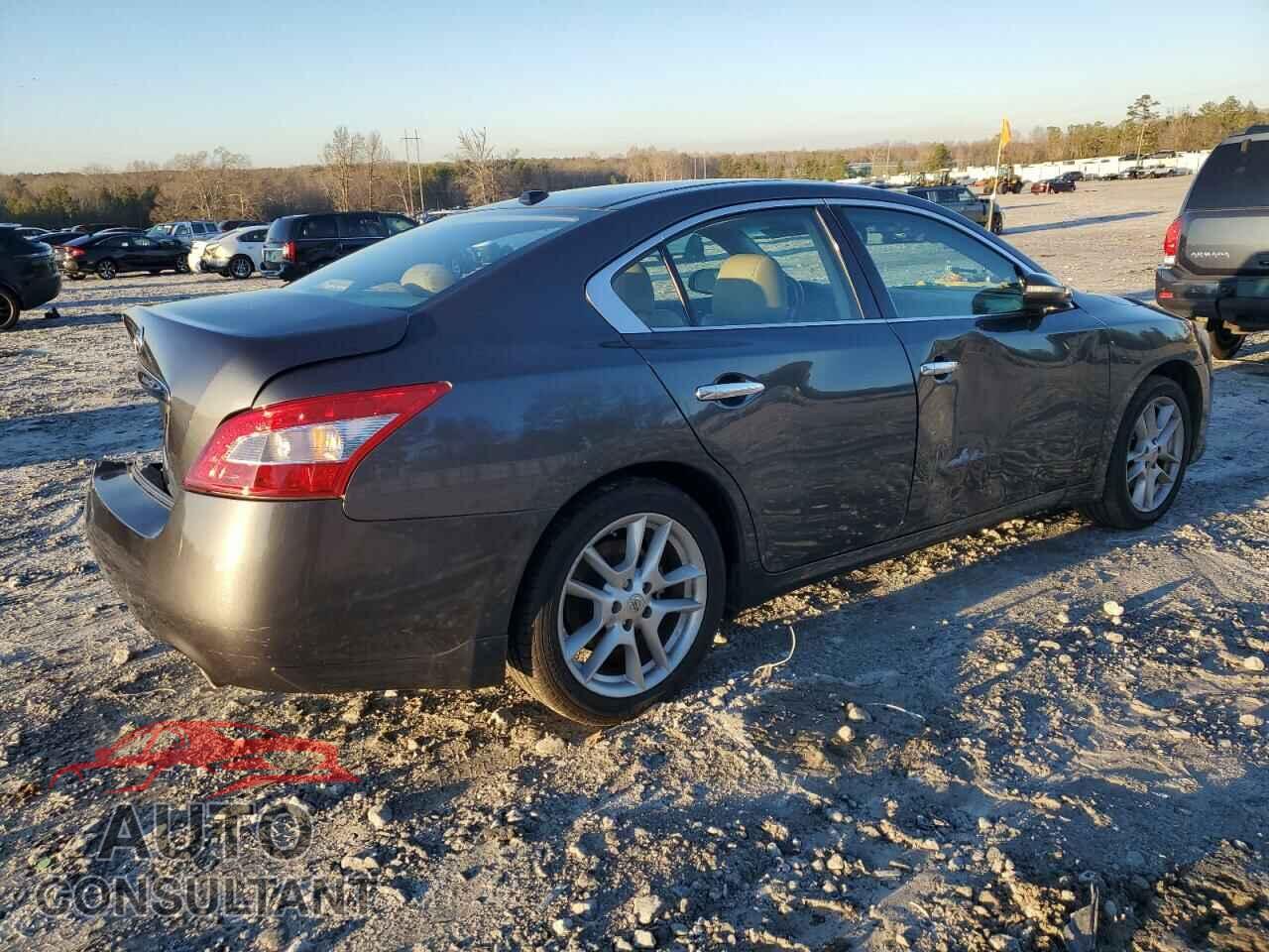 NISSAN MAXIMA 2011 - 1N4AA5AP7BC836082