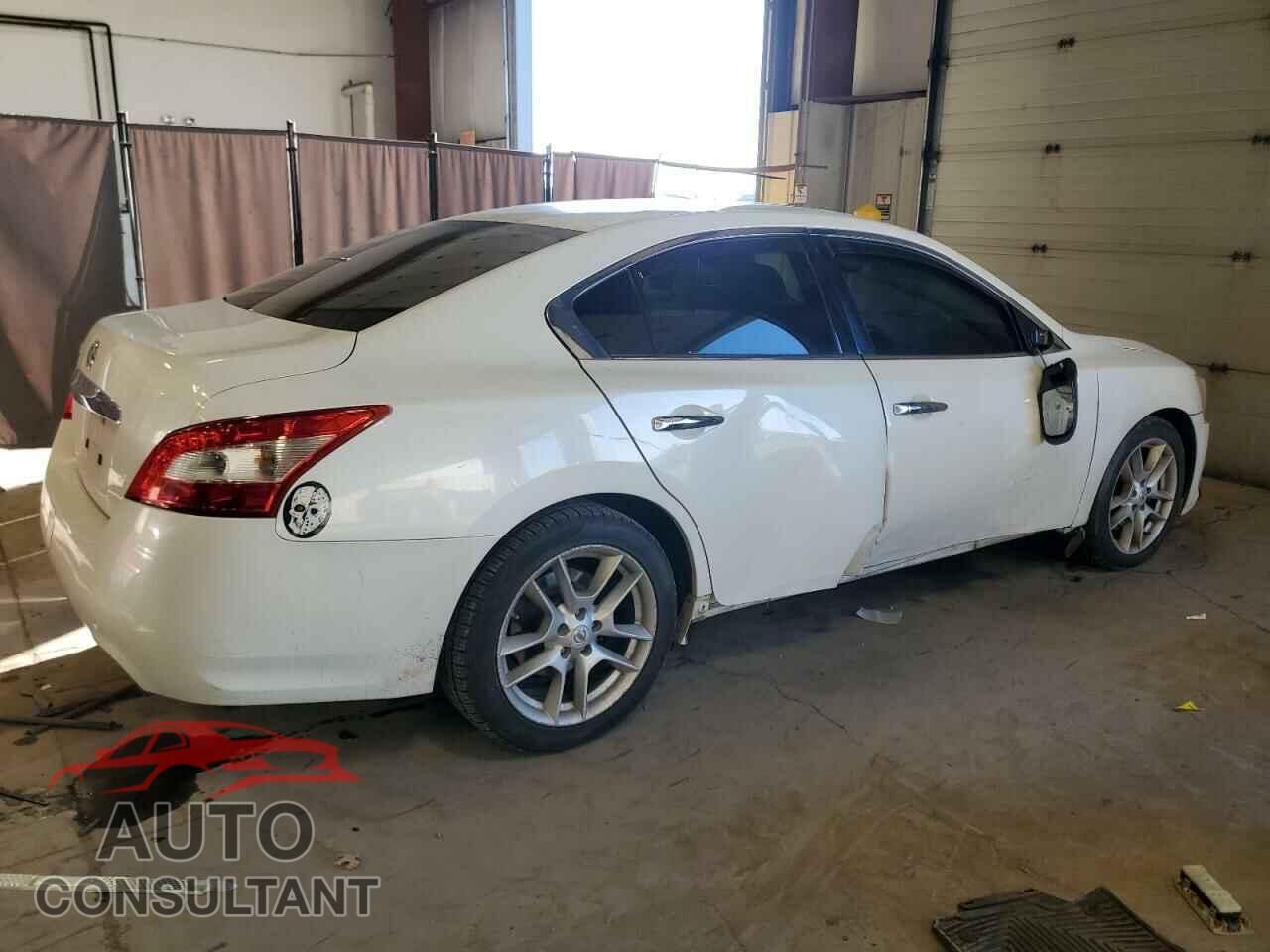 NISSAN MAXIMA 2011 - 1N4AA5AP1BC819987