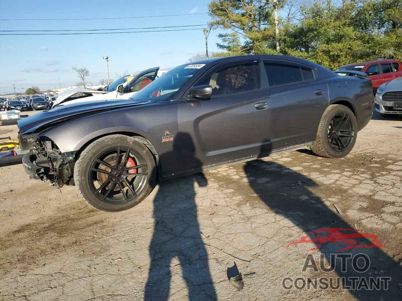 DODGE CHARGER 2014 - 2C3CDXCT5EH339036