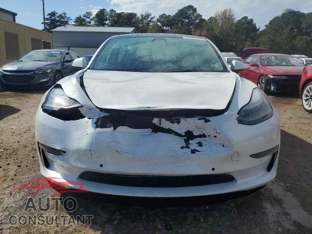 TESLA MODEL 3 2022 - 5YJ3E1EA0NF369939