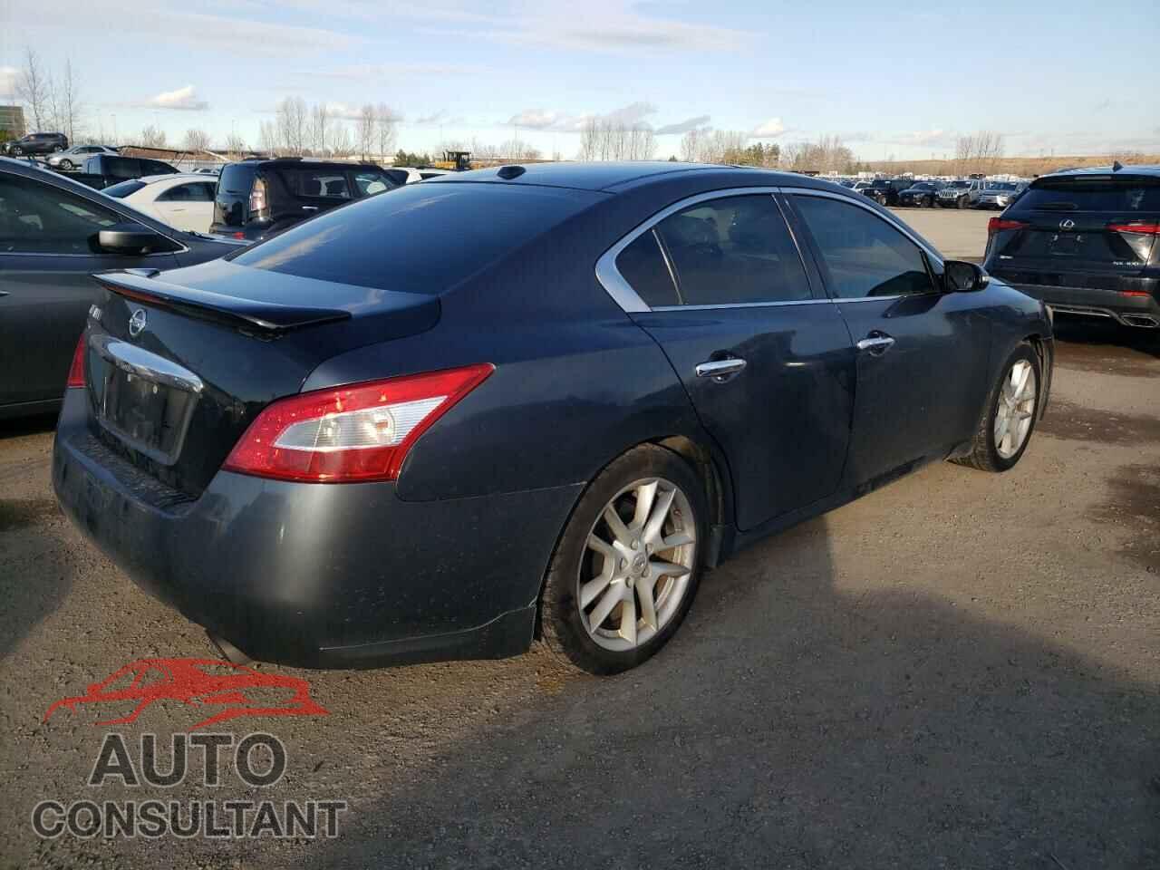 NISSAN MAXIMA 2009 - 1N4AA51EX9C835159