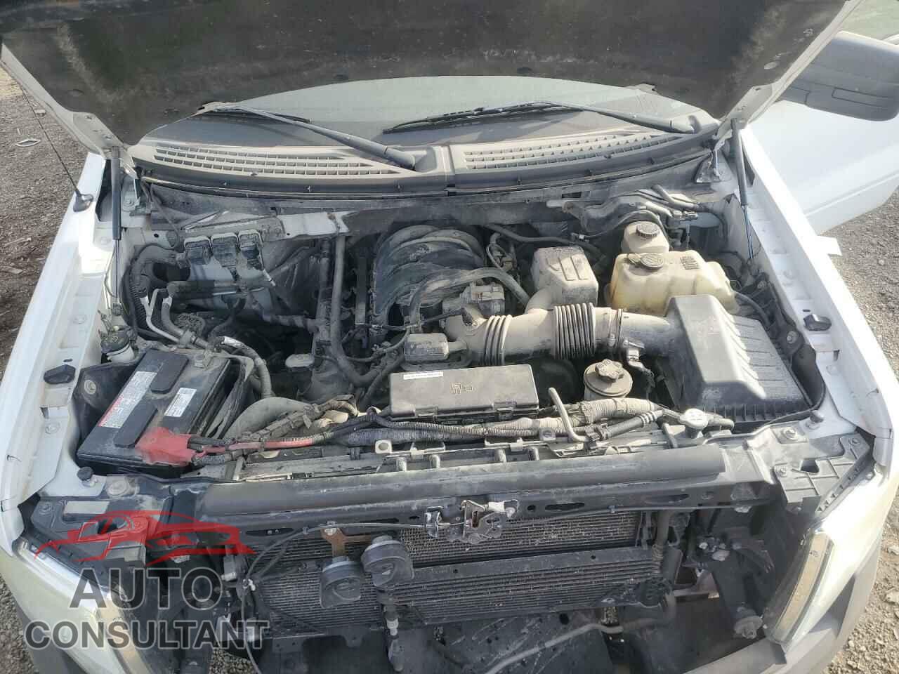 FORD F-150 2010 - 1FTFW1E89AFC11287