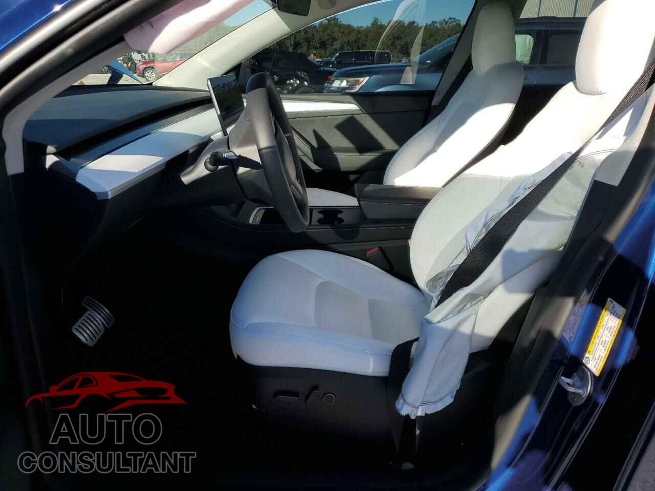 TESLA MODEL Y 2024 - 7SAYGDEFXRF020390