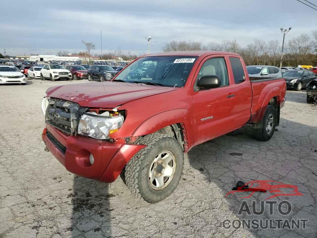 TOYOTA TACOMA 2010 - 5TEUU4EN1AZ745178