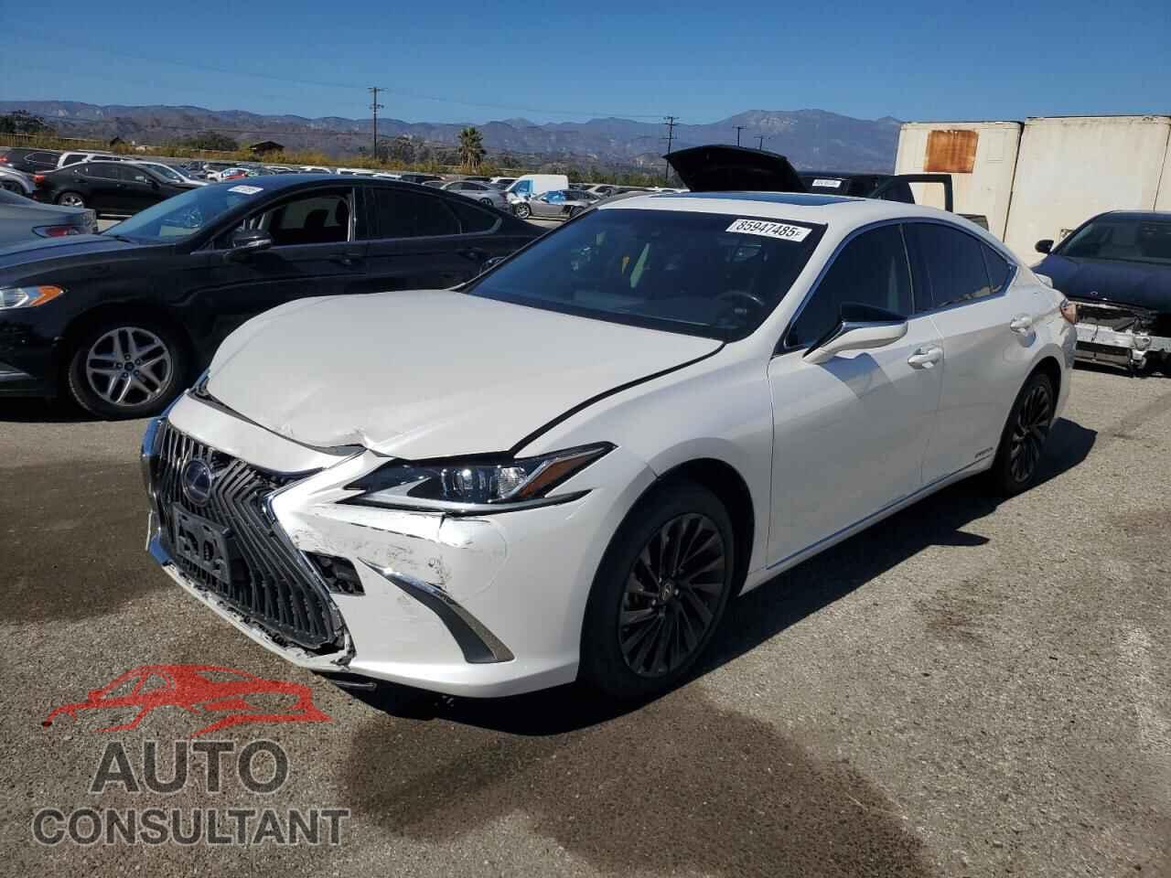 LEXUS ES300 2019 - JTHB21B13K2028427