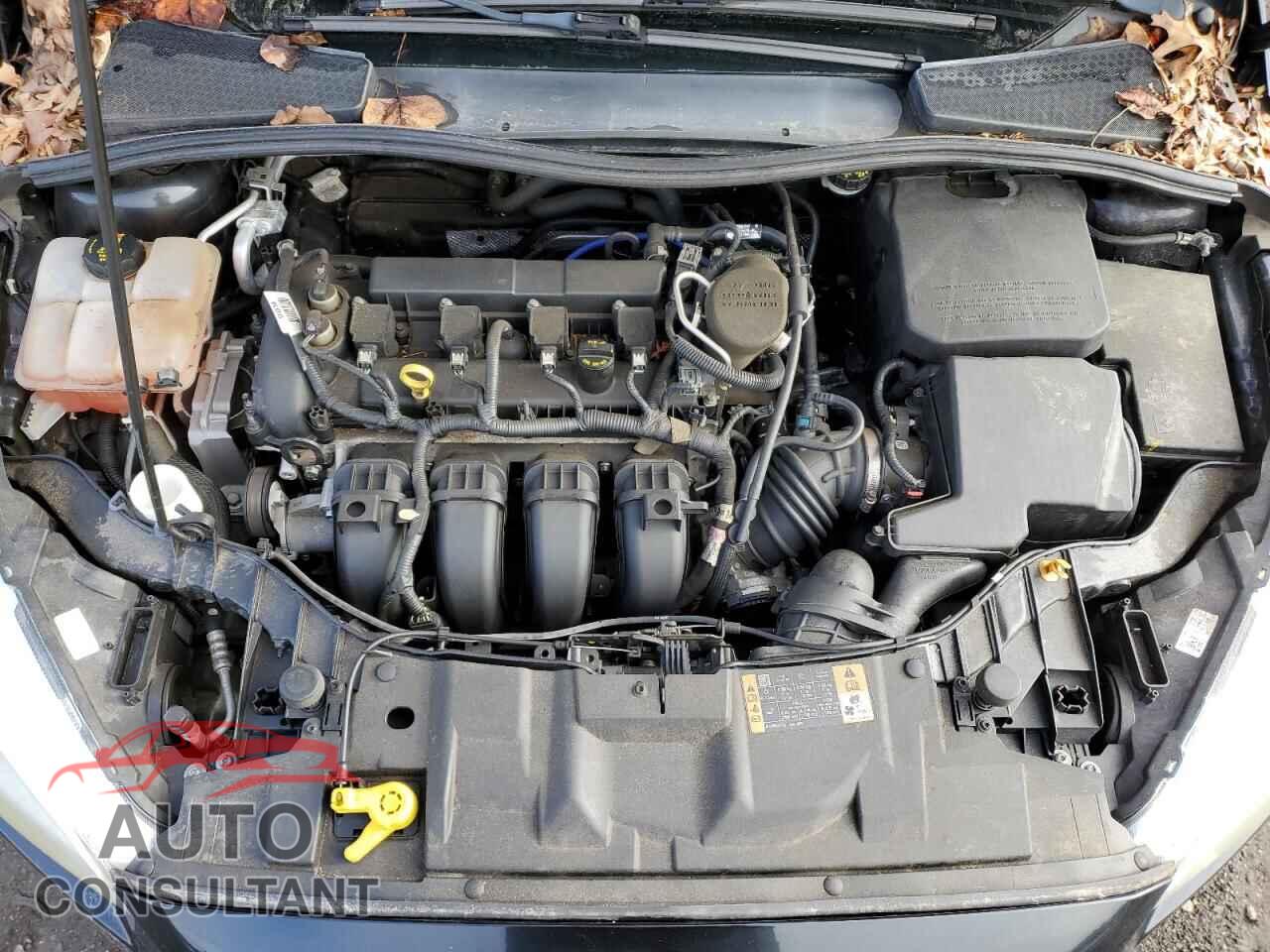 FORD FOCUS 2015 - 1FADP3E24FL228279