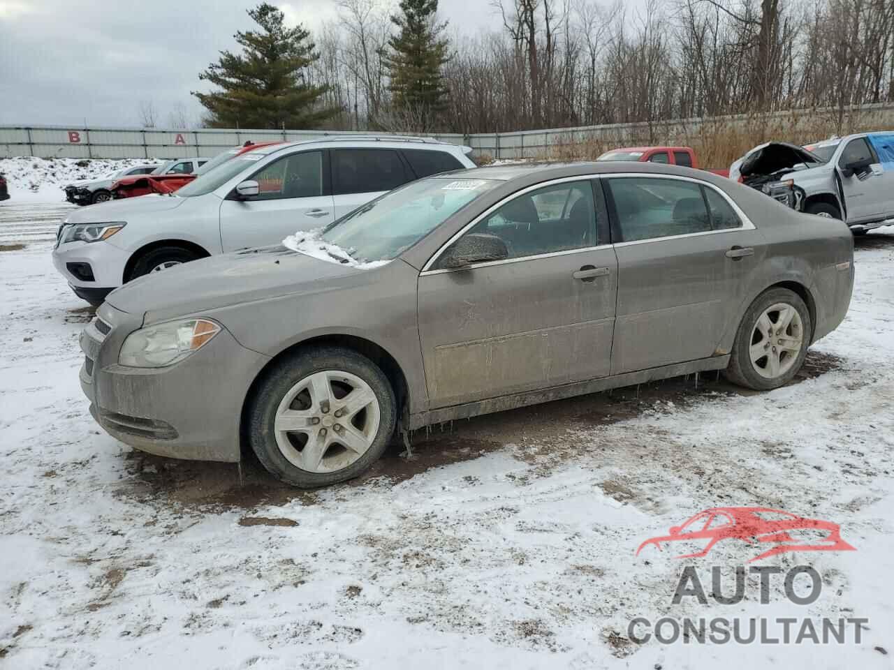 CHEVROLET MALIBU 2010 - 1G1ZB5EB1AF231845