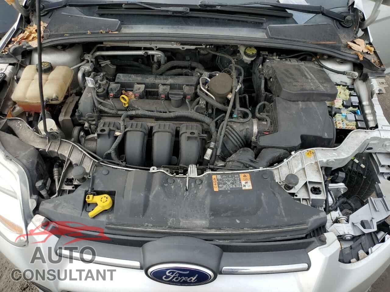 FORD FOCUS 2014 - 1FADP3F29EL380538