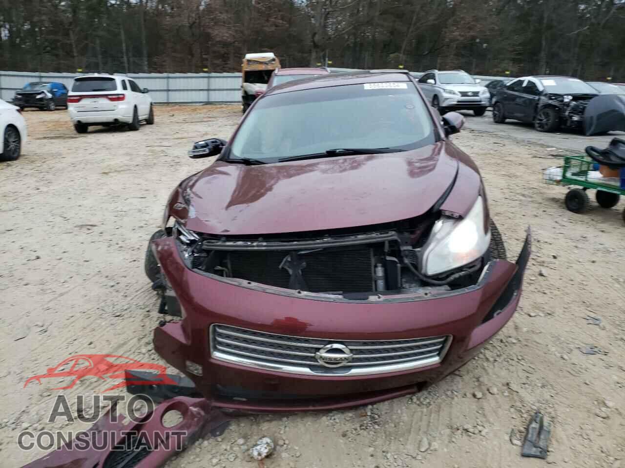 NISSAN MAXIMA 2009 - 1N4AA51E89C815637