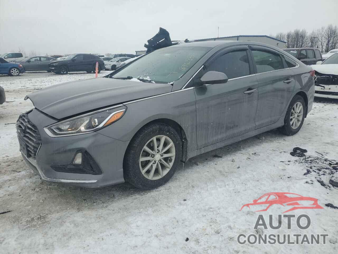 HYUNDAI SONATA 2019 - 5NPE24AF2KH806521