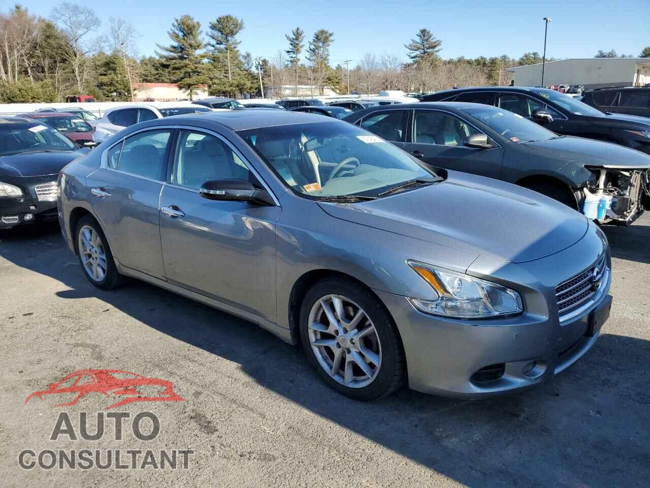 NISSAN MAXIMA 2009 - 1N4AA51E99C849070
