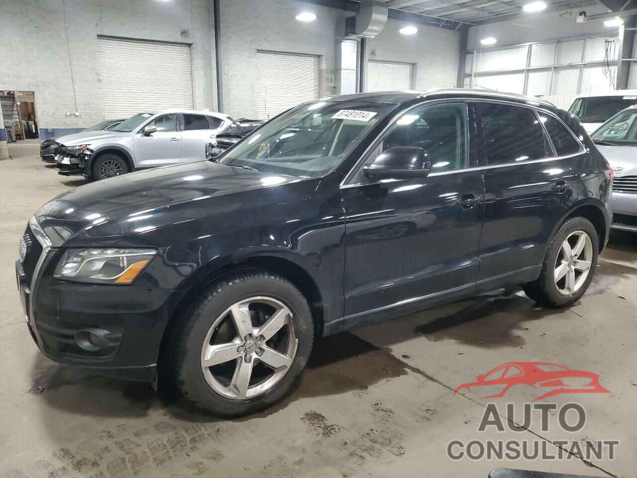 AUDI Q5 2010 - WA1LKAFP5AA005282