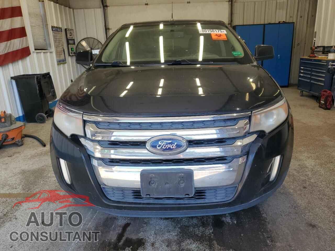 FORD EDGE 2011 - 2FMDK4KC2BBA66203