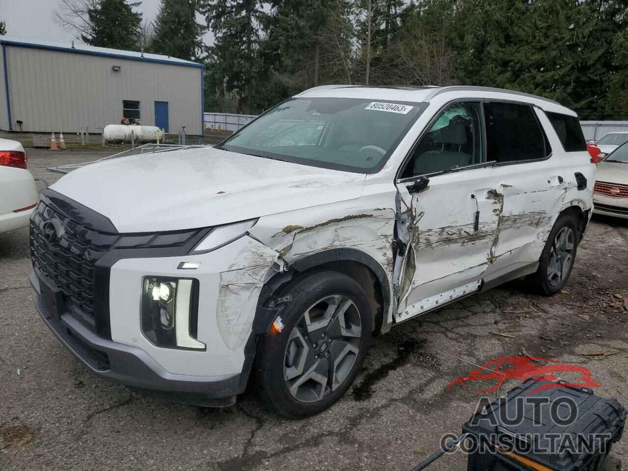 HYUNDAI PALISADE 2023 - KM8R5DGE9PU499266