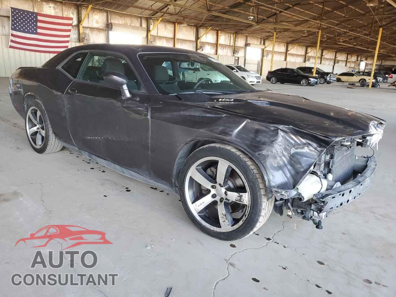 DODGE CHALLENGER 2013 - 2C3CDYBT2DH700227