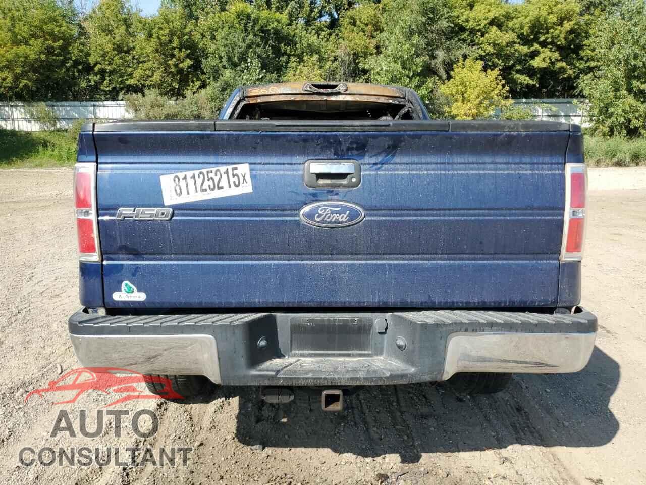 FORD F-150 2012 - 1FTFX1ET8CFC54233