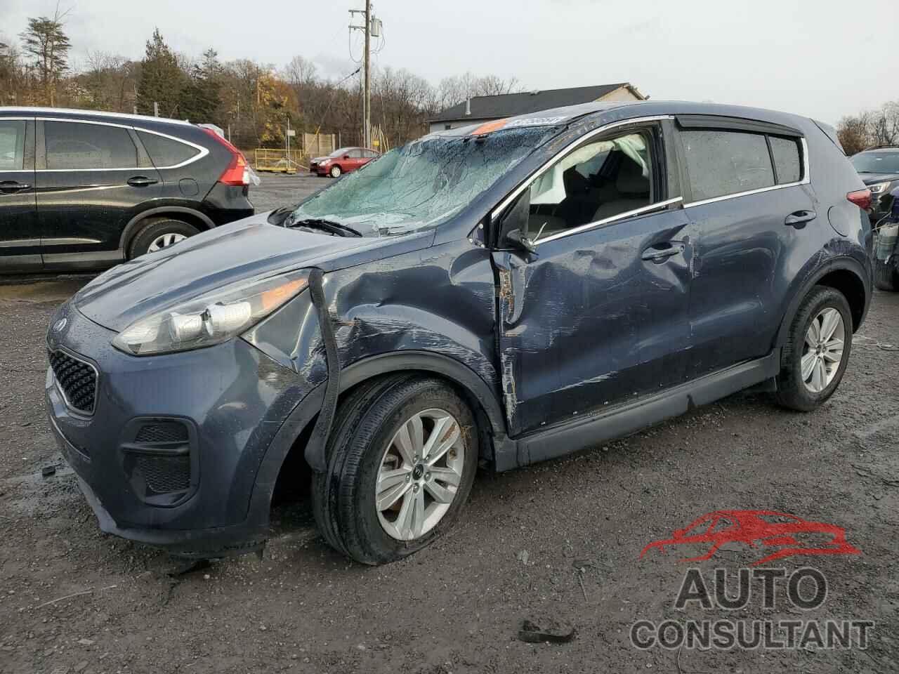 KIA SPORTAGE 2017 - KNDPM3AC0H7233294