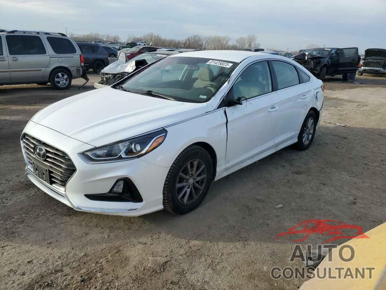 HYUNDAI SONATA 2019 - 5NPE24AF9KH801428