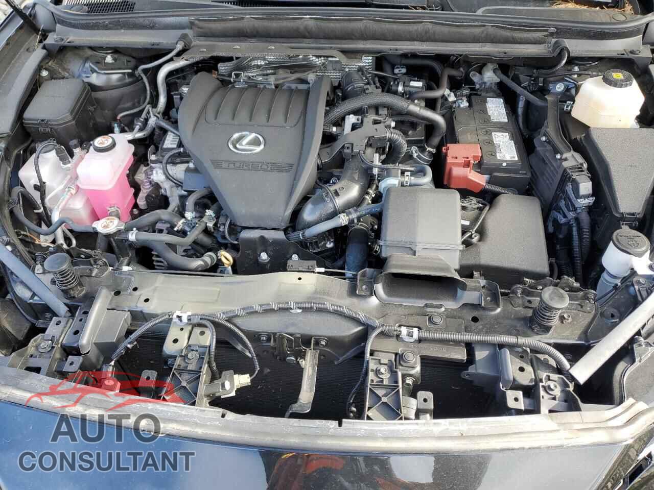 LEXUS RX350 2024 - 2T2BAMCA4RC088504