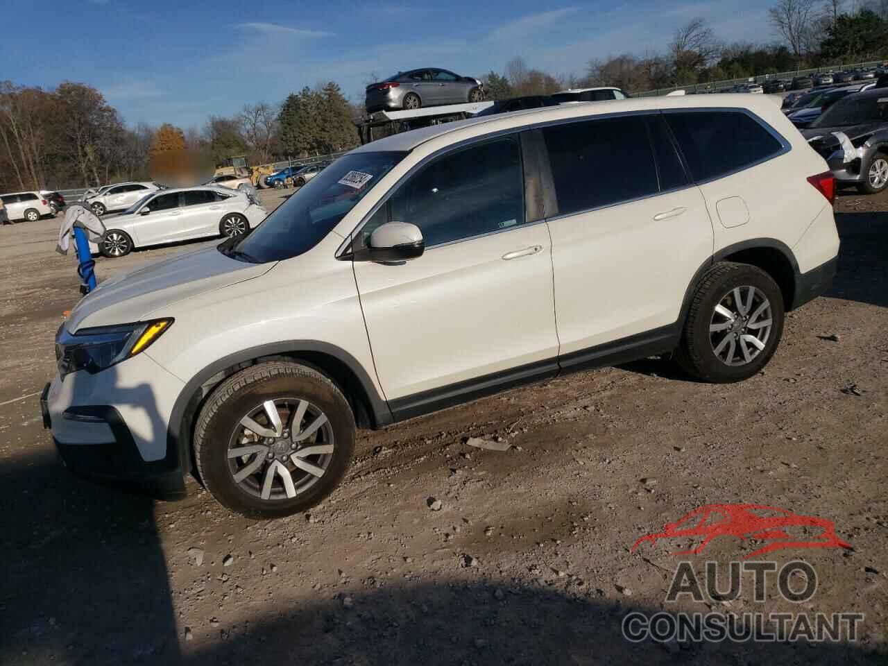 HONDA PILOT 2019 - 5FNYF6H36KB071405