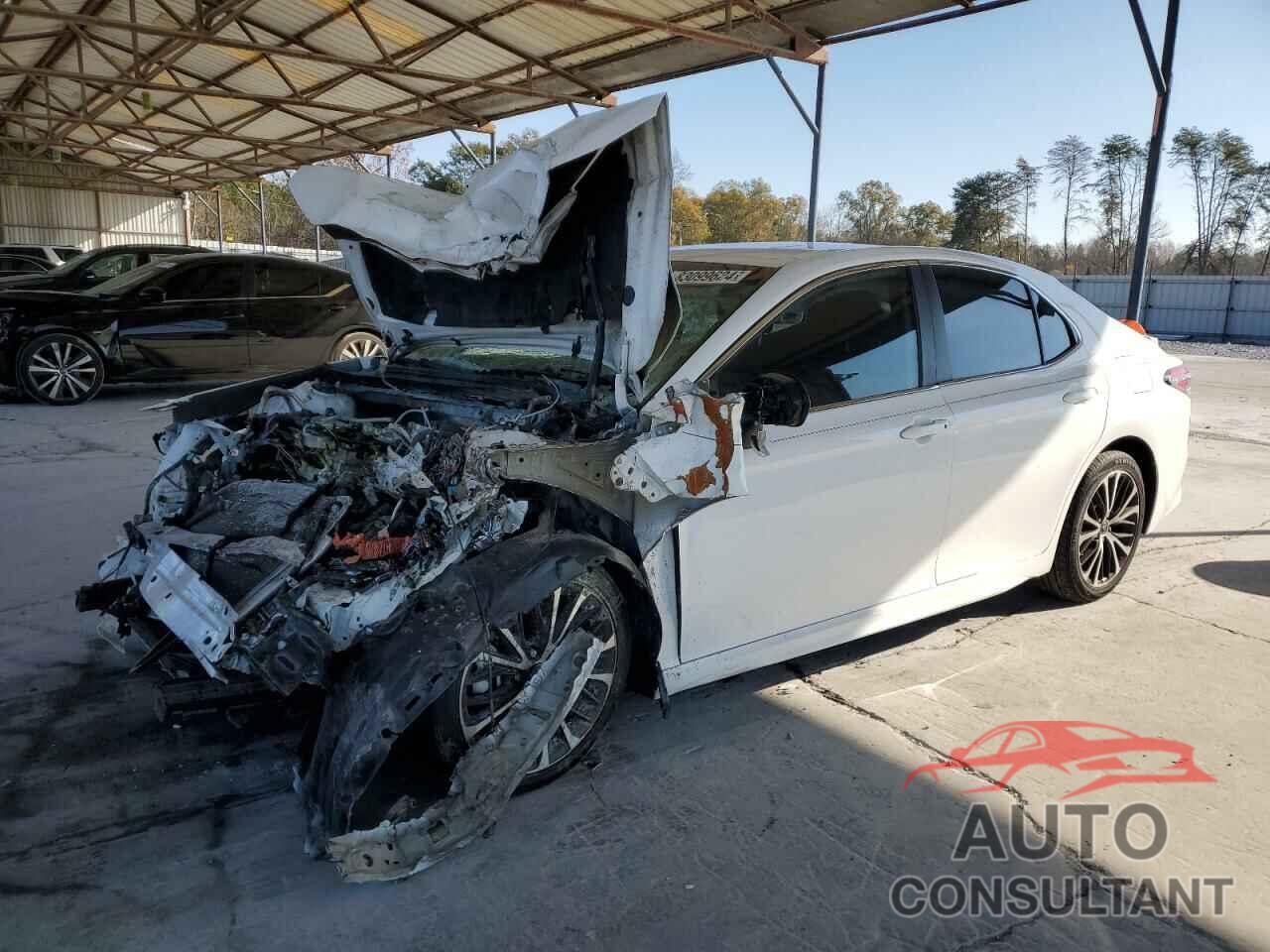 TOYOTA CAMRY 2019 - 4T1B11HK0KU207724