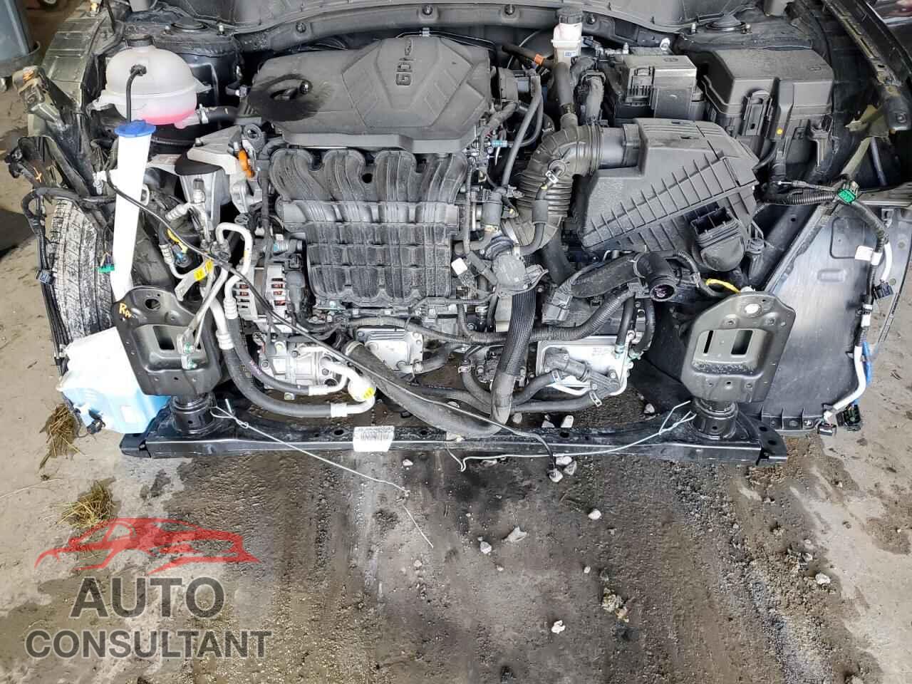 HYUNDAI TUCSON 2024 - 5NMJFCDE6RH347310
