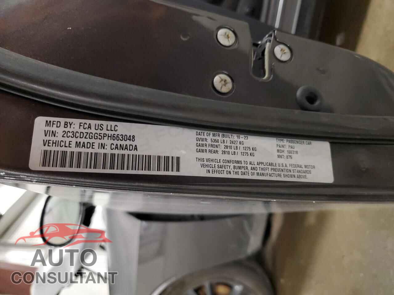 DODGE CHALLENGER 2023 - 2C3CDZGG5PH663048