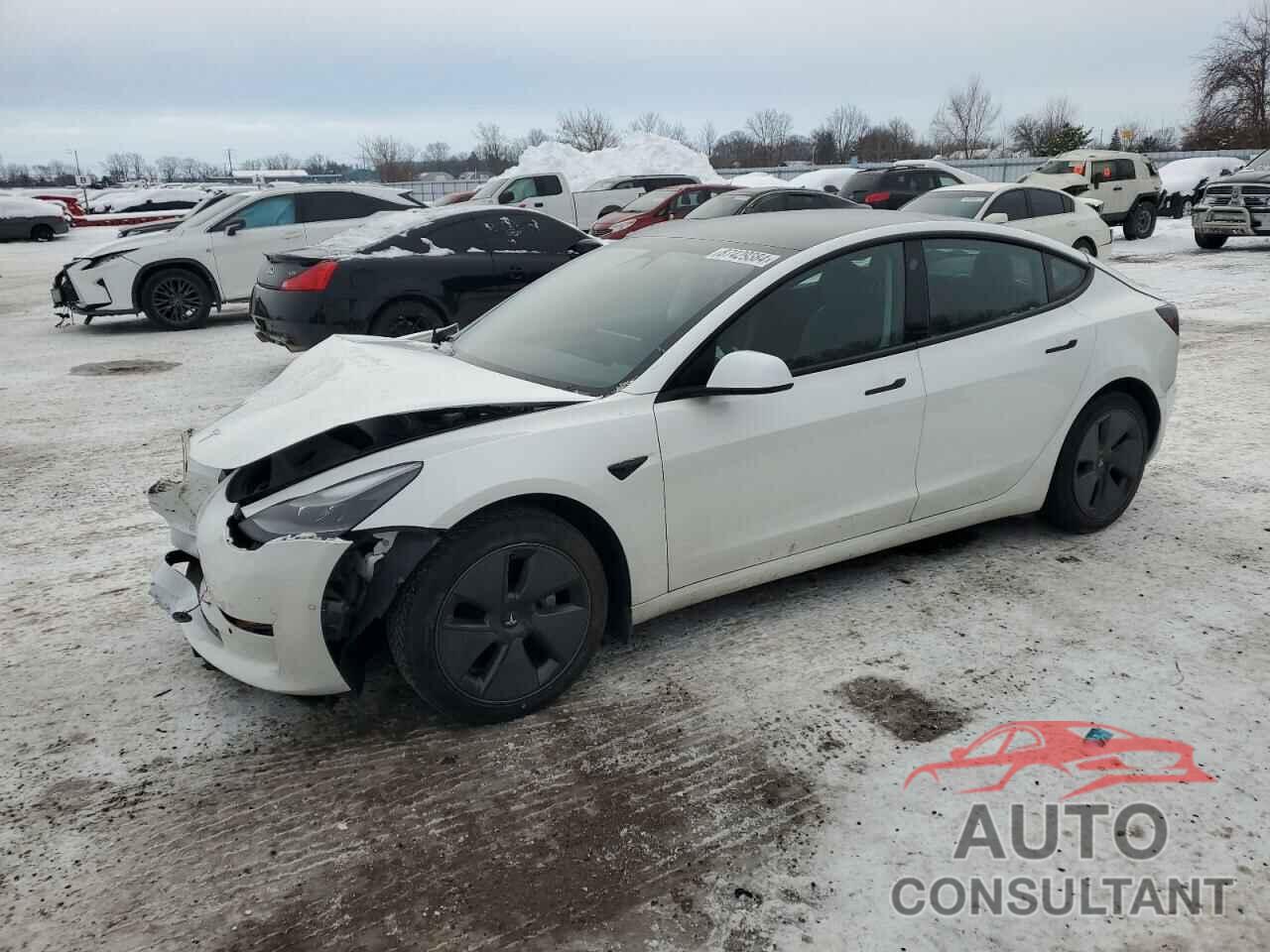 TESLA MODEL 3 2021 - 5YJ3E1EA3MF030428