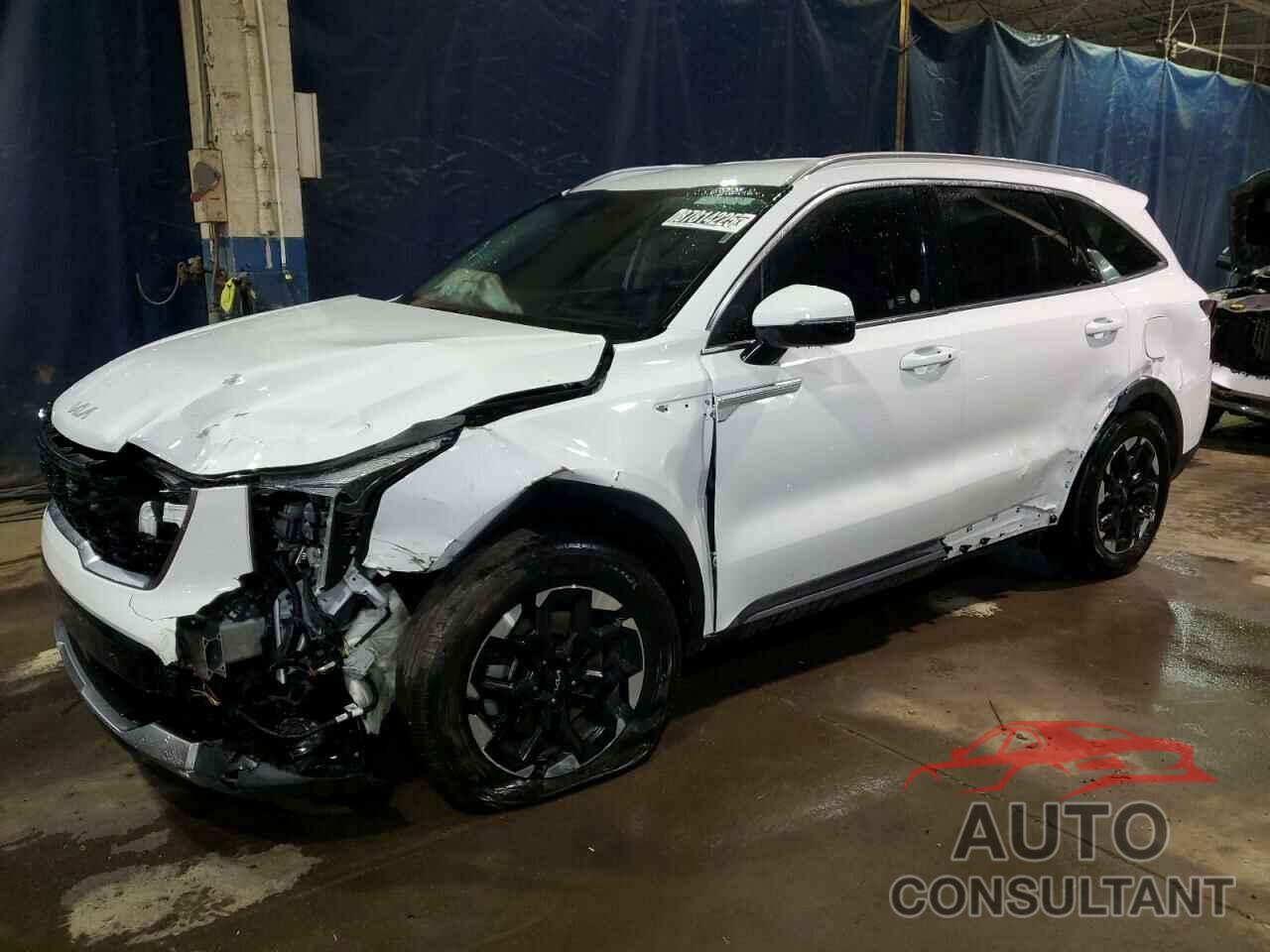 KIA SORENTO 2024 - 5XYRL4JC2RG282650
