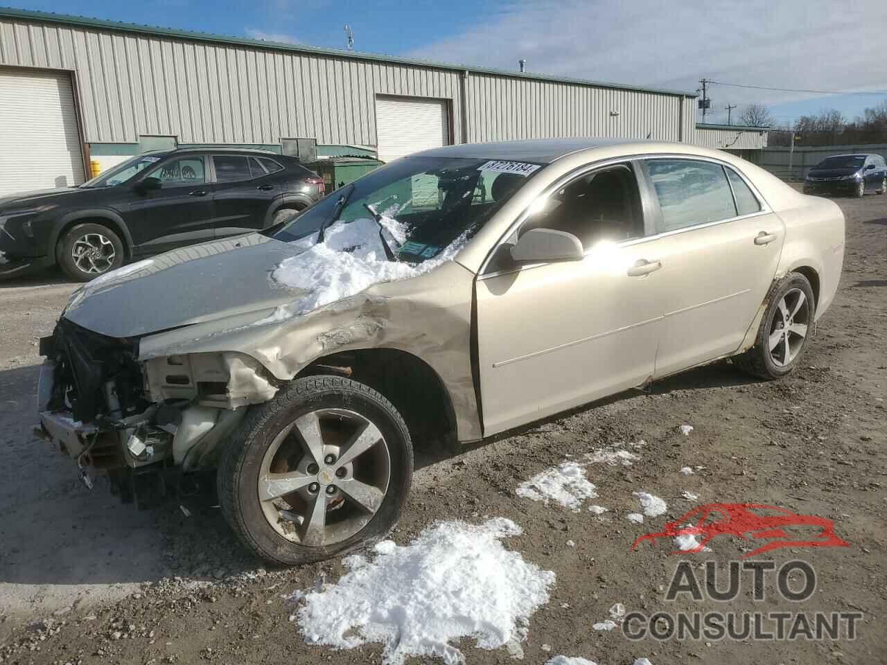 CHEVROLET MALIBU 2011 - 1G1ZC5E10BF251705