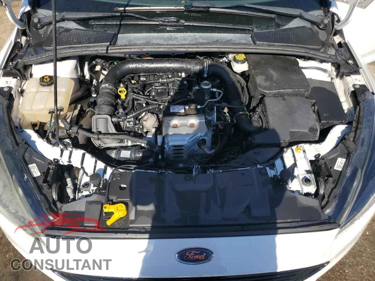 FORD FOCUS 2017 - 1FADP3FEXHL292581
