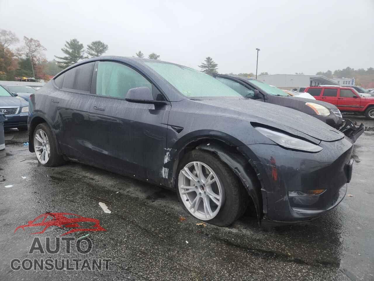 TESLA MODEL Y 2024 - 7SAYGDED9RF018824