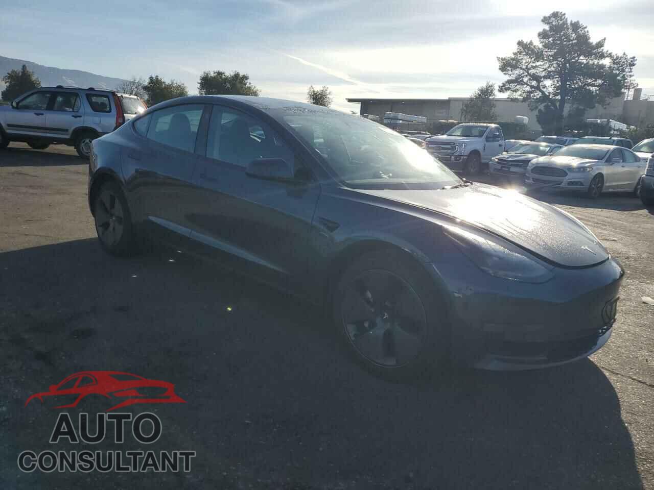 TESLA MODEL 3 2023 - 5YJ3E1EA4PF542025