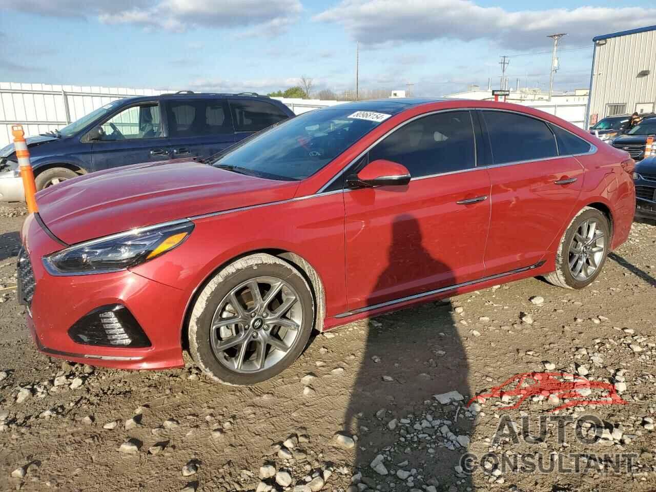 HYUNDAI SONATA 2019 - 5NPE34AB3KH742130